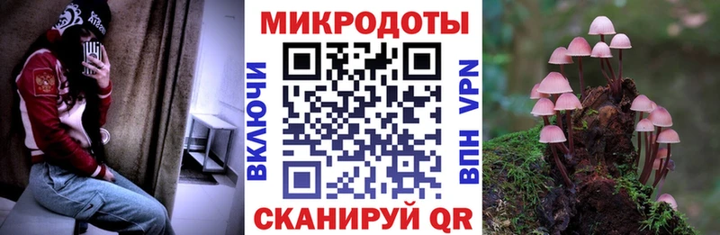 купить наркотик  Светогорск  Псилоцибиновые грибы Cubensis 